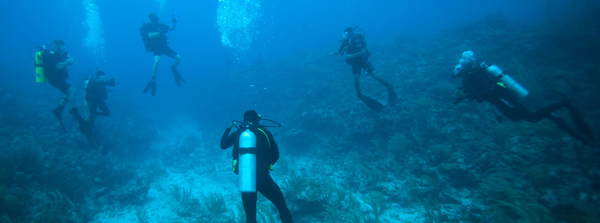 Slide - Fleet Diving Unit Atlantic conducts diver training in Jamaica as part of Exercise Tradewinds 16